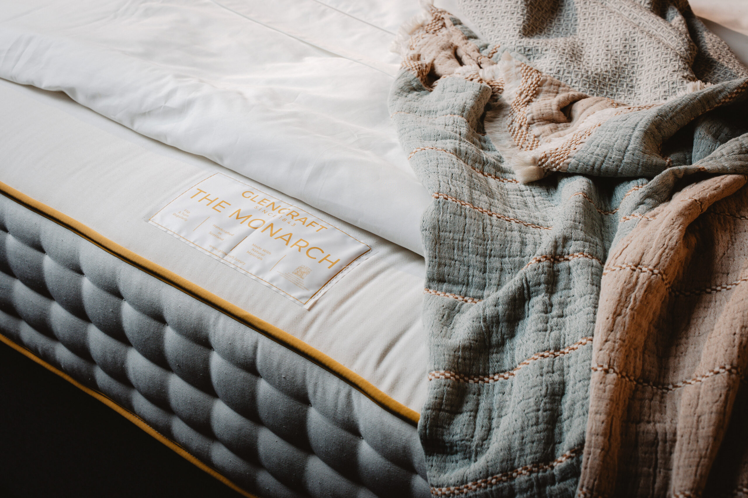 The Monarch - Image 2